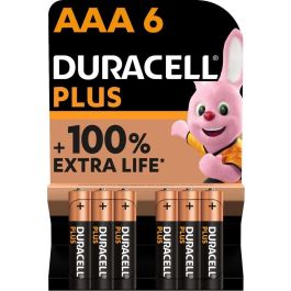 Helaas dreigen Relatief Duracell Plus alkaline batterijen 100 AAA 1,5V - verpakking 6 stuks  (D141209) | Elektramat